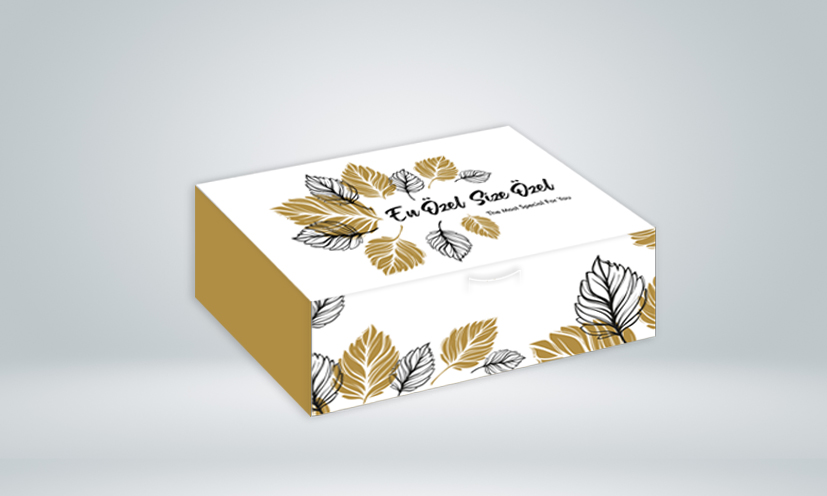 1 Kg. Kuru Pasta Kutusu